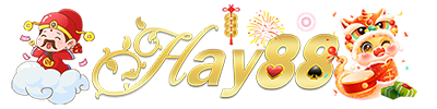 hay88.com.de